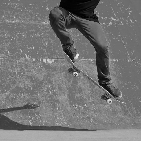 Skate shl