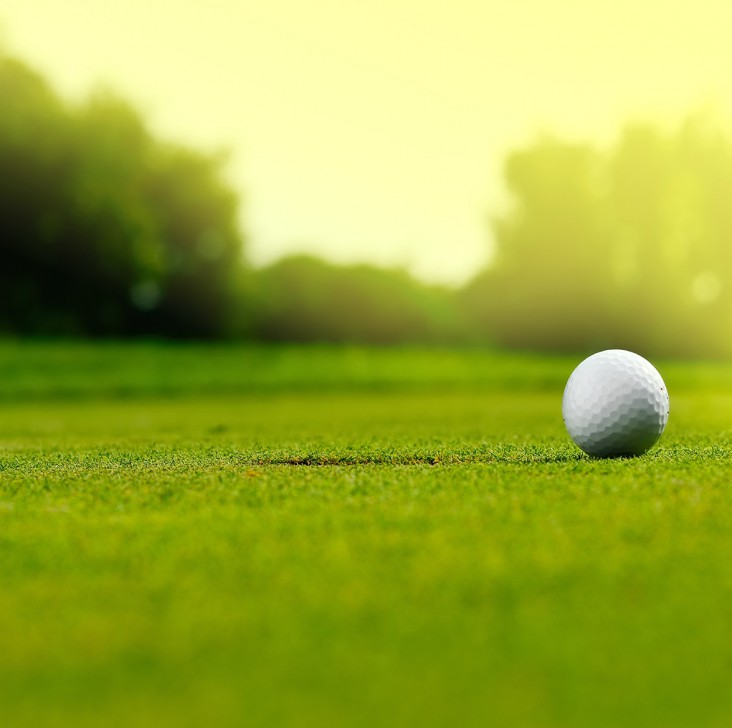 Golf. Dekorations billede - Goldbane - Golfbold